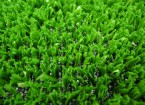 Tenax Стандард Грин – искусственная трава